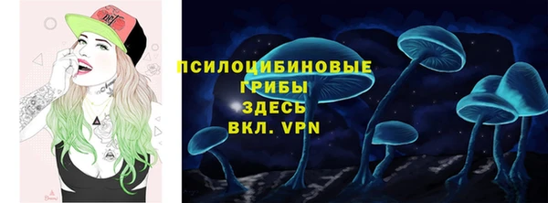 герыч Каменка