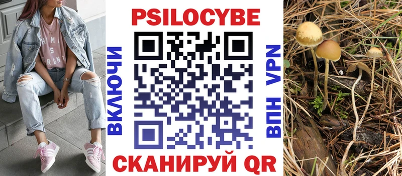 Псилоцибиновые грибы Cubensis  цены   нарко площадка Telegram  Томилино 